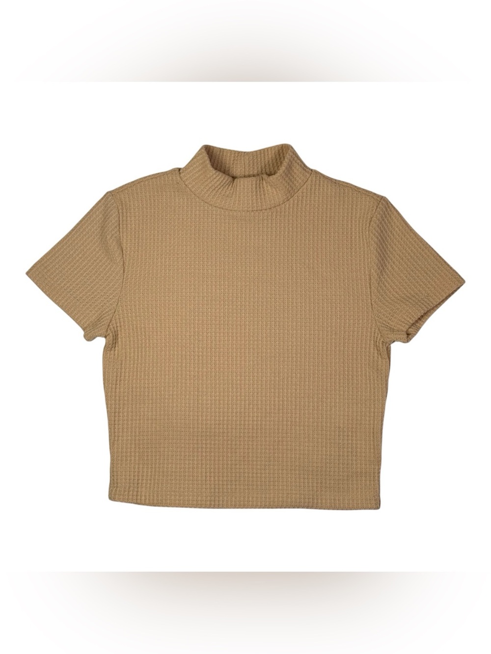 Beige Ribbed Mock Neck Top